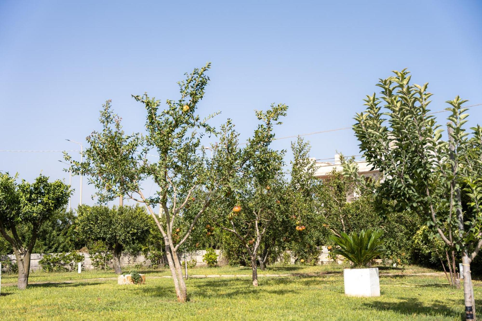 Murieri Rooms Otranto Exterior photo